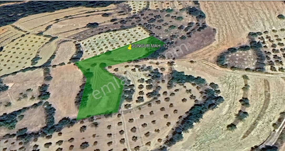 Menteşe Sungur Mahallesı 2354 M2 Satılık Tarla