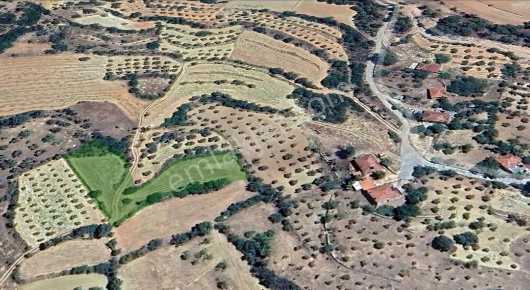 Menteşe Sungur Mahallesı 2354 M2 Satılık Tarla - Görsel 7