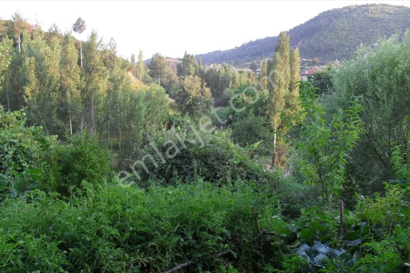 Menteşe Sungur Mahallesı 2354 M2 Satılık Tarla - Görsel 11