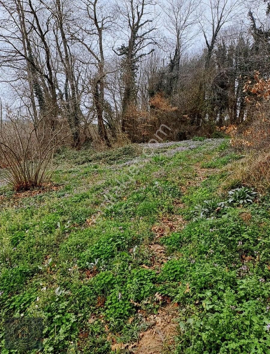 Satılık 2070 M2 Fındık Bahçesi - Görsel 14