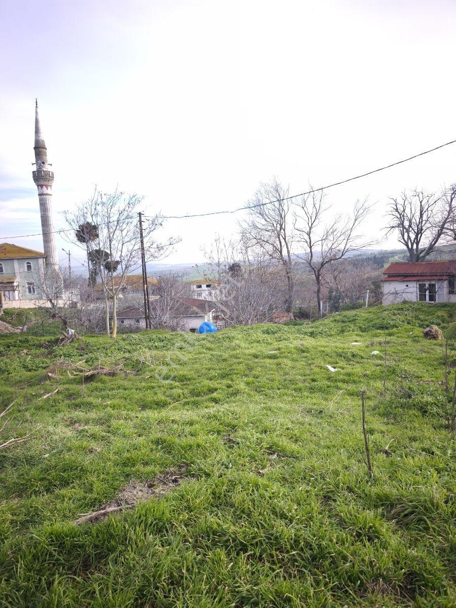 Araç Takasli Arsa - Görsel 15