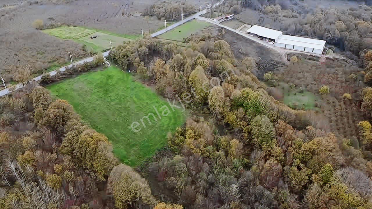 40-şekergayrimenkul Süleymaniye Köyü 25000m2 Kiralık Arsa - Görsel 3