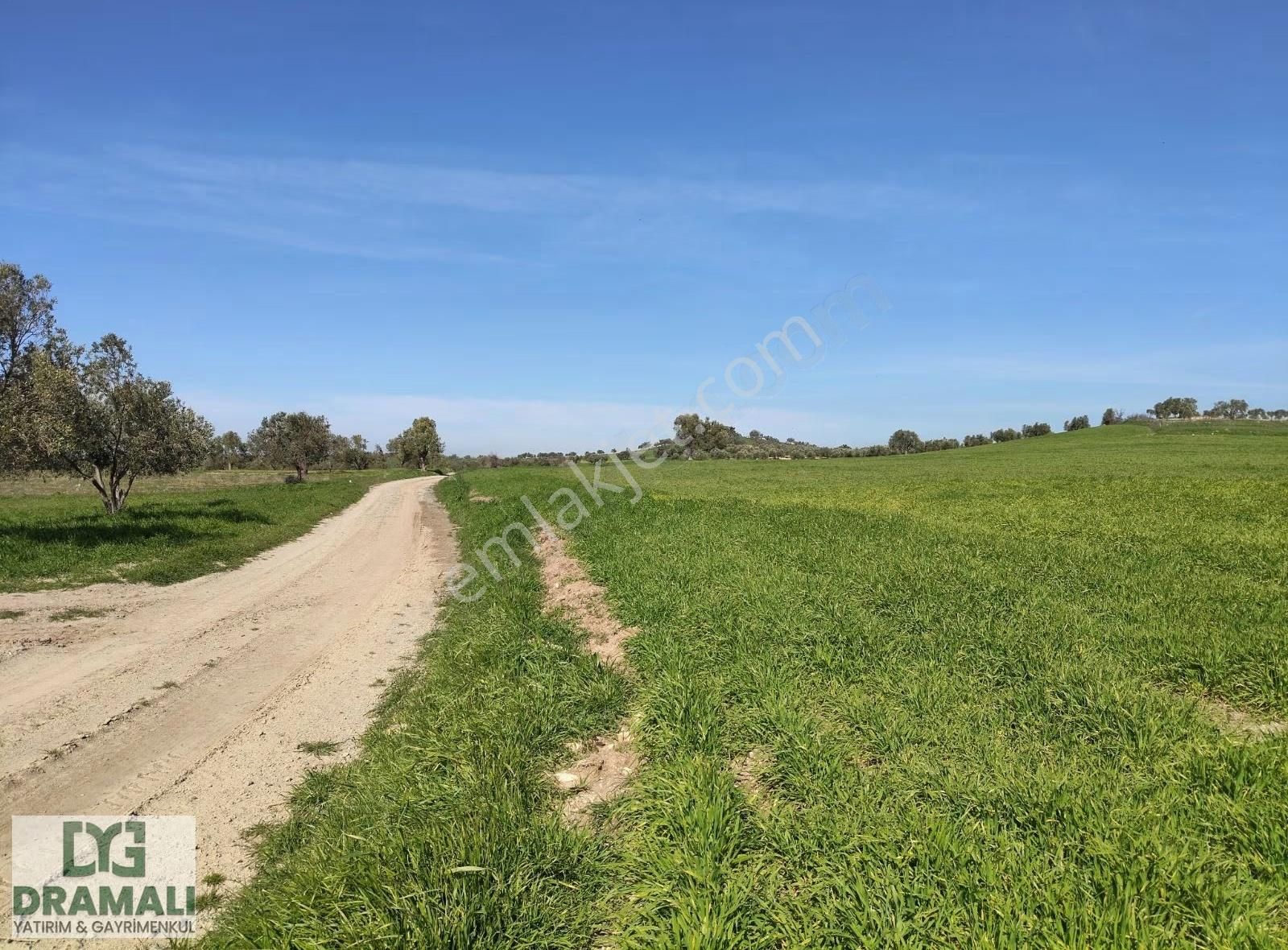 Merkeze 30 Dakika Köye 2 Km Kaçırılmayacak Fırsat Tarla!