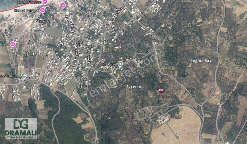 Mudanya Esence'de Deniz Manzaralı 950m² Zeytinlik Satılık - Görsel 6