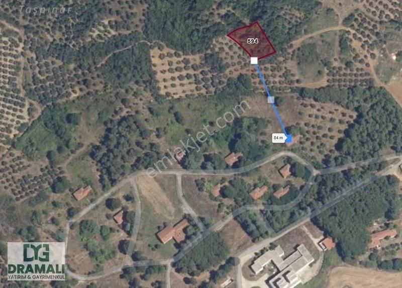 Mudanya Esence'de Deniz Manzaralı 950m² Zeytinlik Satılık - Görsel 3