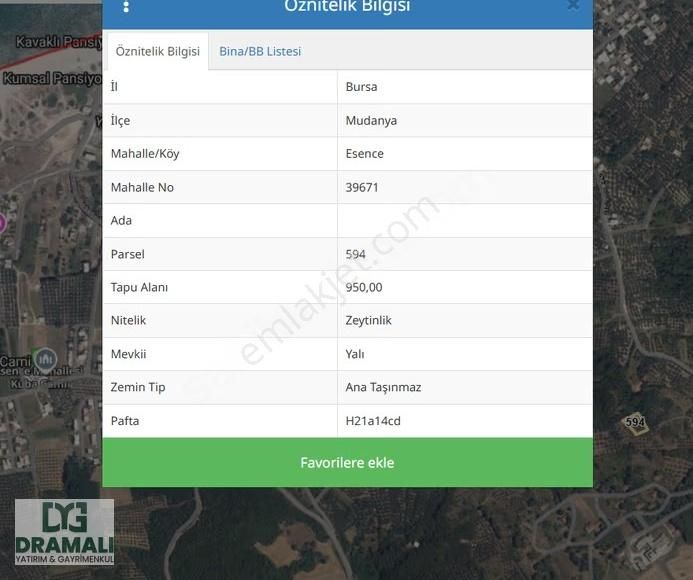 Mudanya Esence'de Deniz Manzaralı 950m² Zeytinlik Satılık - Görsel 5