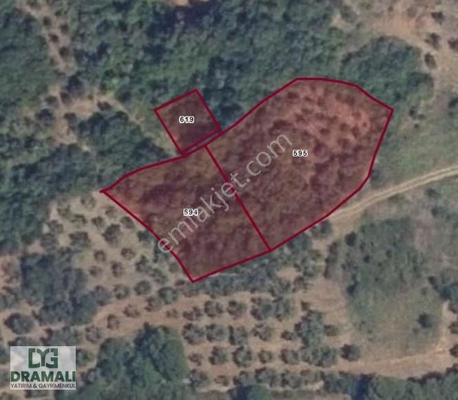 Mudanya Esence'de Deniz Manzaralı 950m² Zeytinlik Satılık - Görsel 2