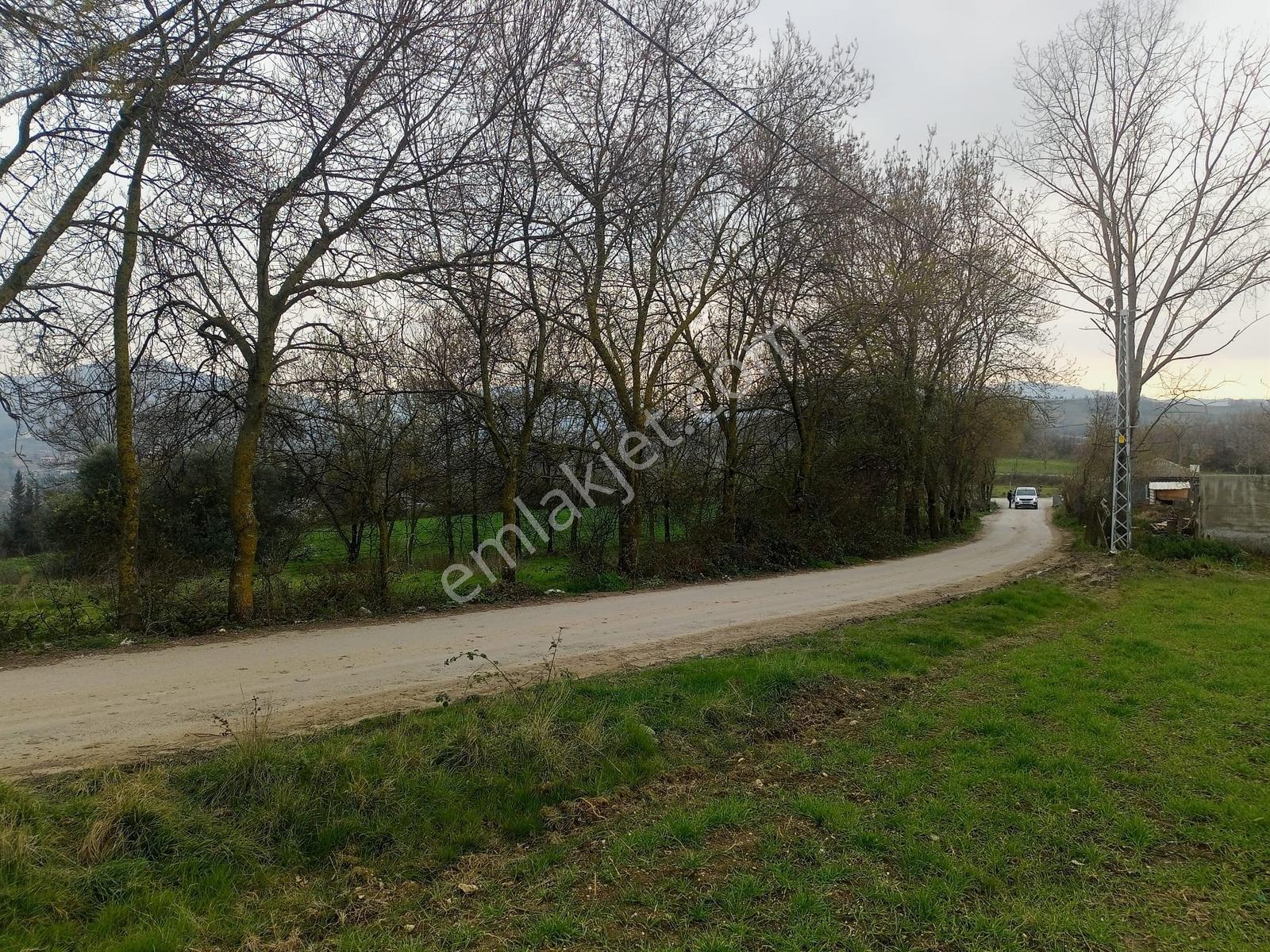 Yalova Merkez Soğucak 5660 M2 Satılık Yatırımlık Tarla - Görsel 8