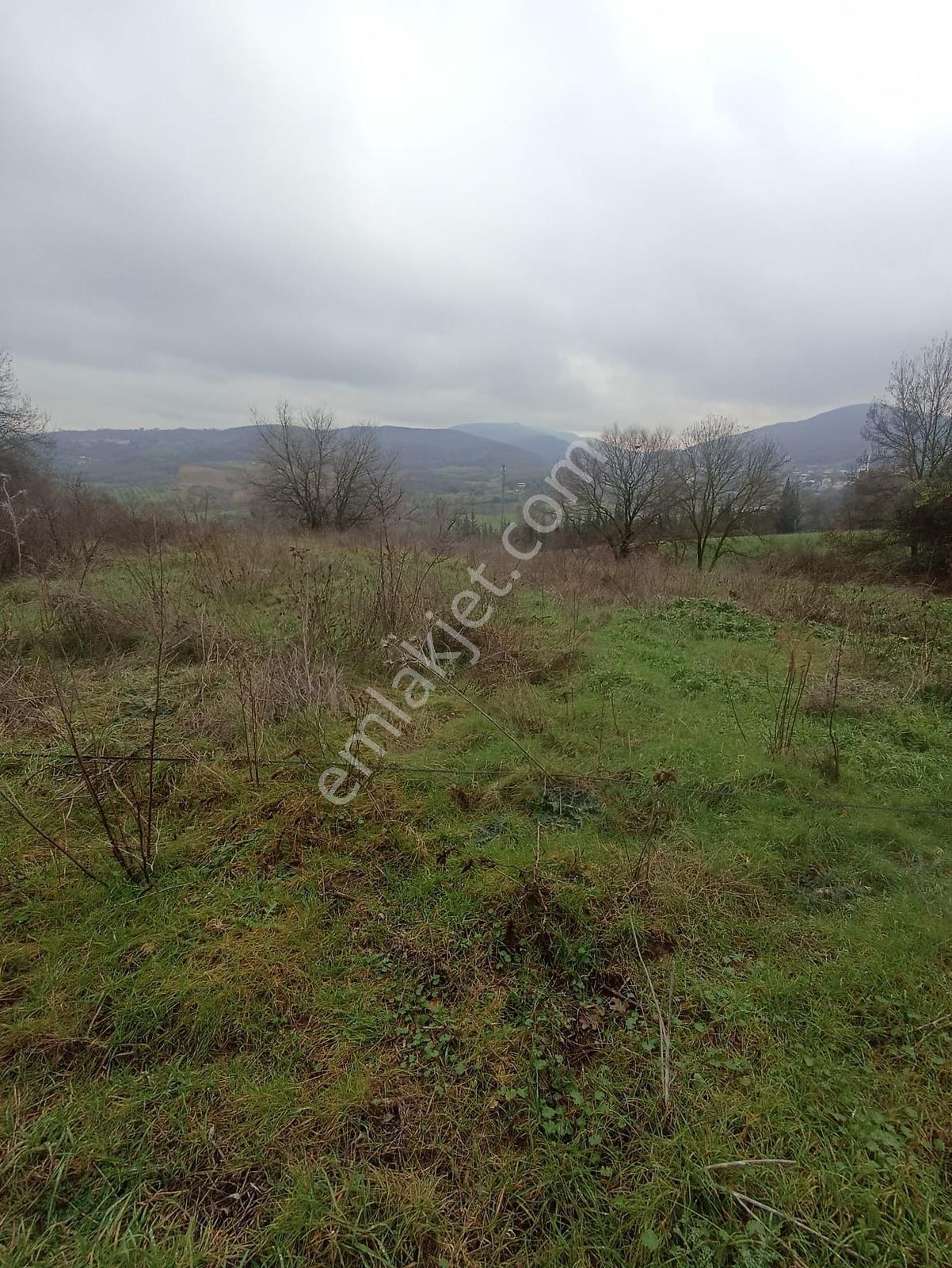 Yalova Merkez Soğucak 5660 M2 Satılık Yatırımlık Tarla - Görsel 12