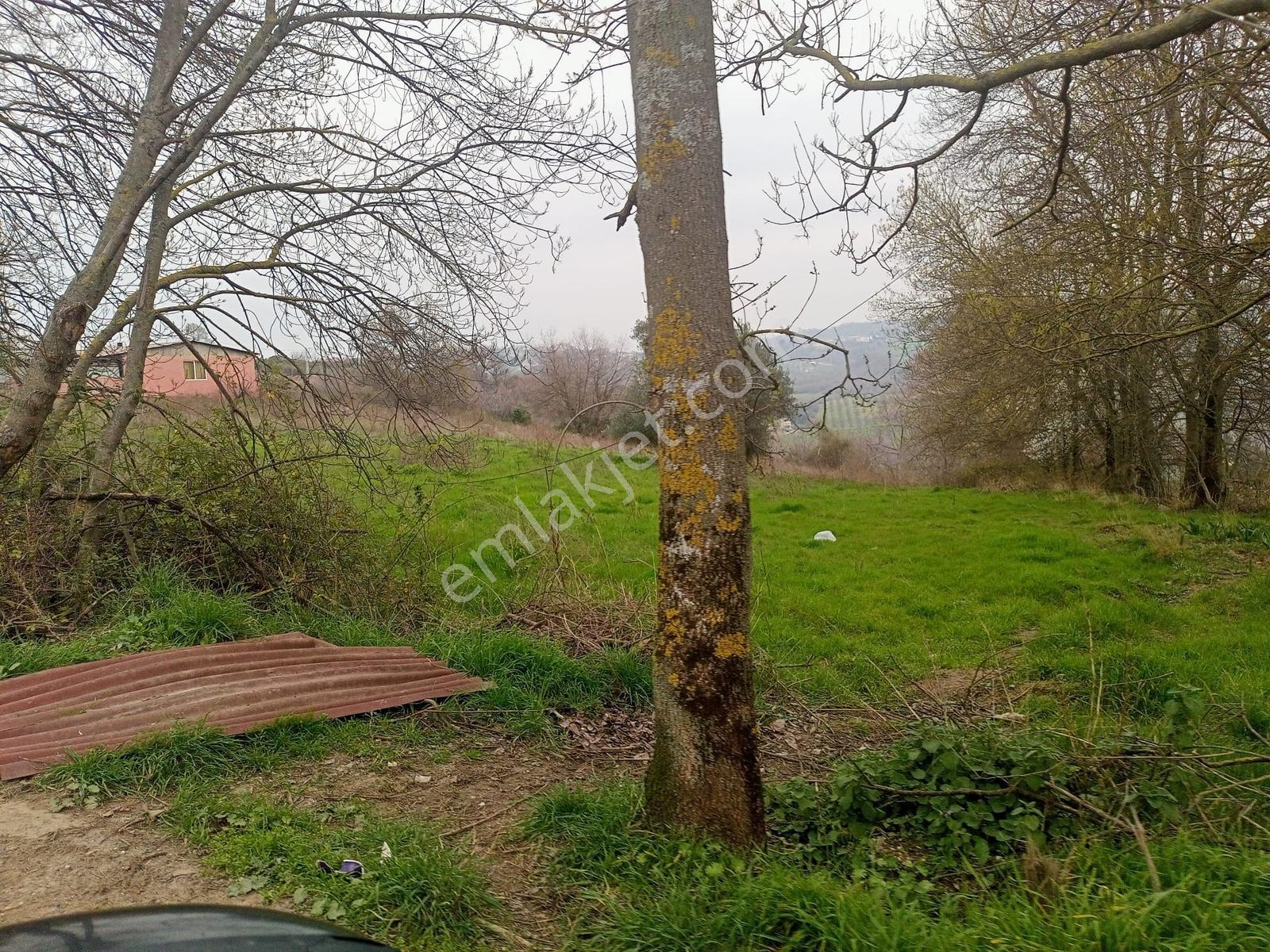 Yalova Merkez Soğucak 5660 M2 Satılık Yatırımlık Tarla - Görsel 18