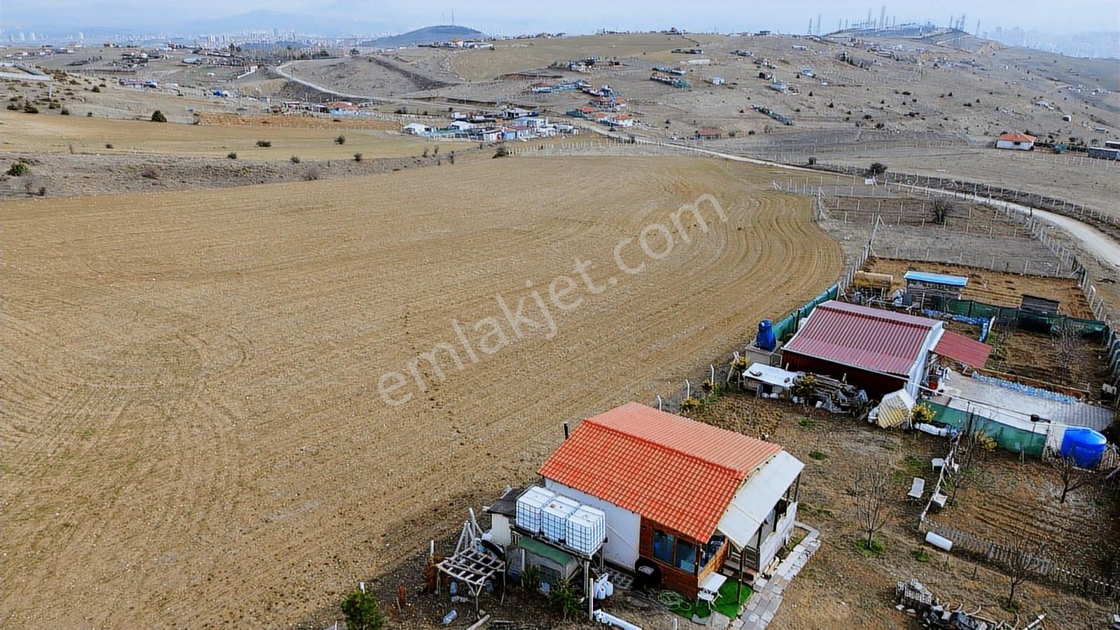 Bağlum Kırandağında Bahçe İçin İdeal Teli Çekili Satılık Tarla - Görsel 13
