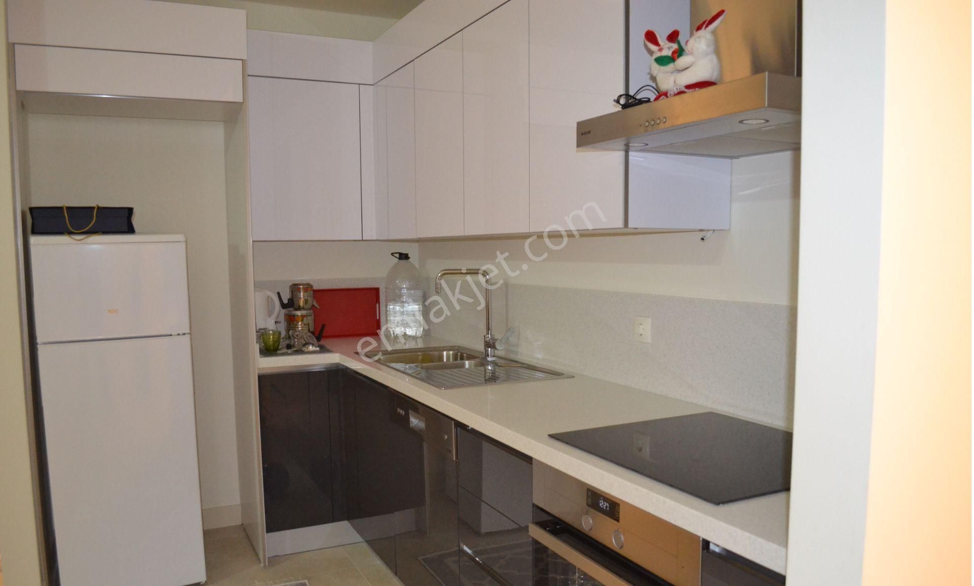 Sinpaş F1 Kule 1+1 Eşyalı Kiralık Balkonsuz Peyzaja Bakan Geniş Daire - Görsel 3