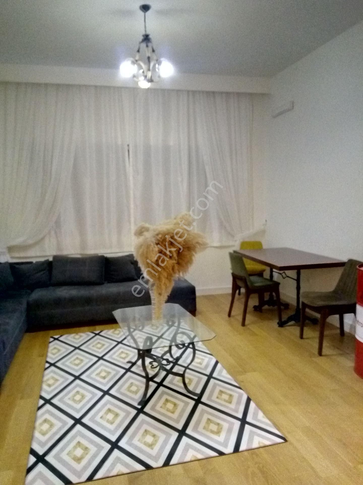 Sinpaş F1 Kule 1+1 Eşyalı Kiralık Balkonsuz Peyzaja Bakan Geniş Daire - Görsel 24