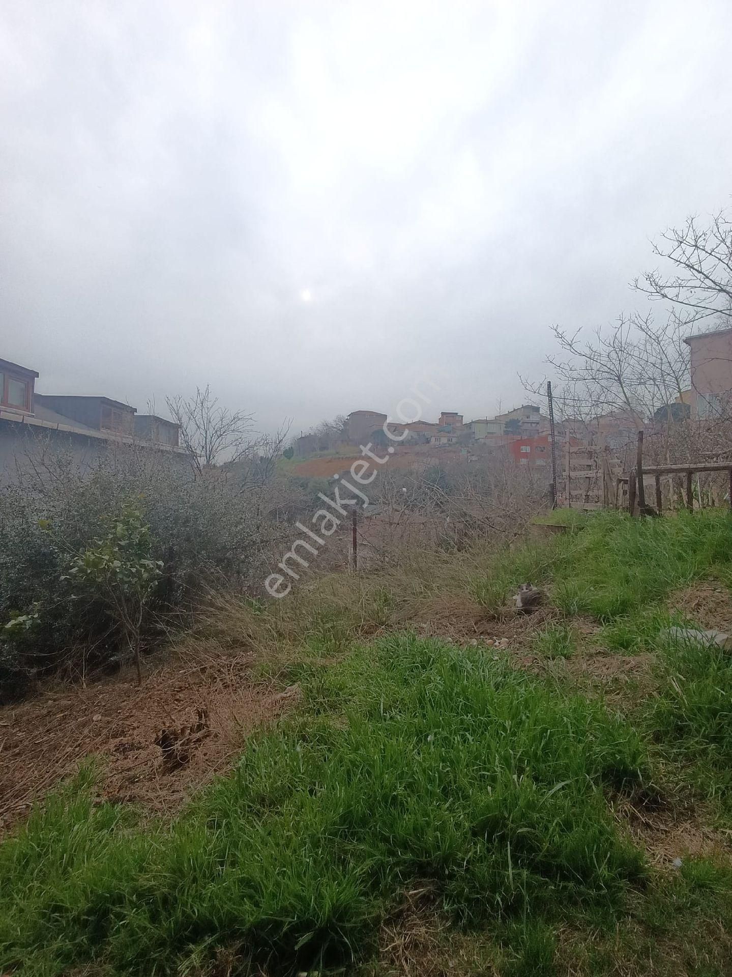 Kavacık Dörtyola Yakın 80 M 2+1 Yüksek Giriş Daire - Görsel 25