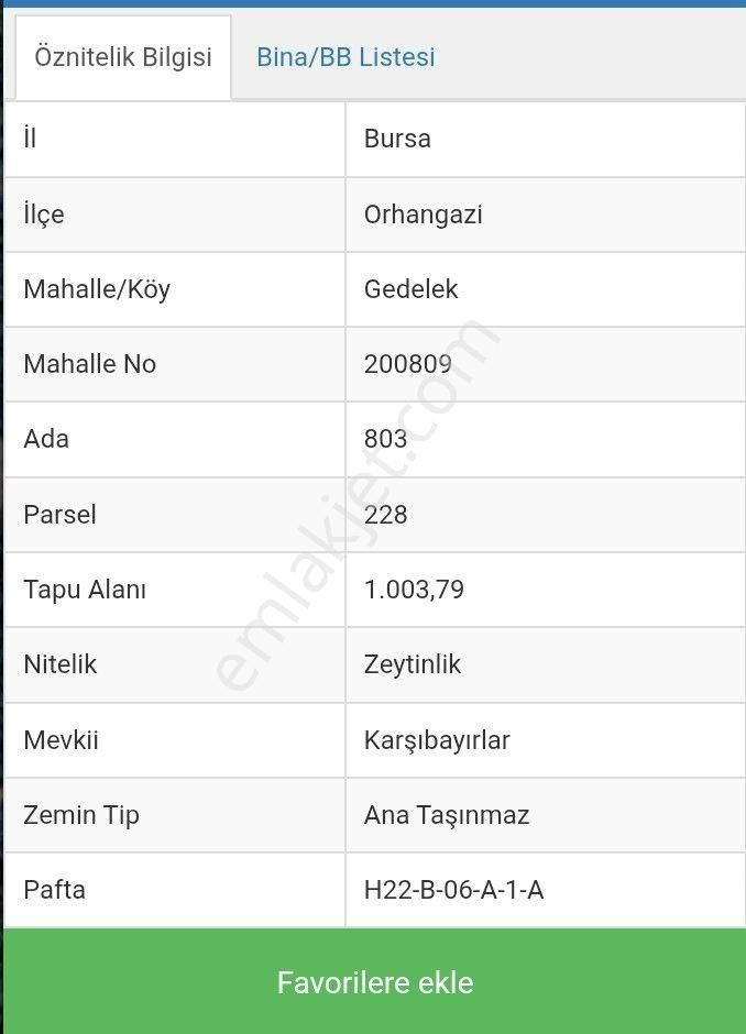 Orhangazi Gedelek Köyünde Satılık Zeytinlik - Görsel 4