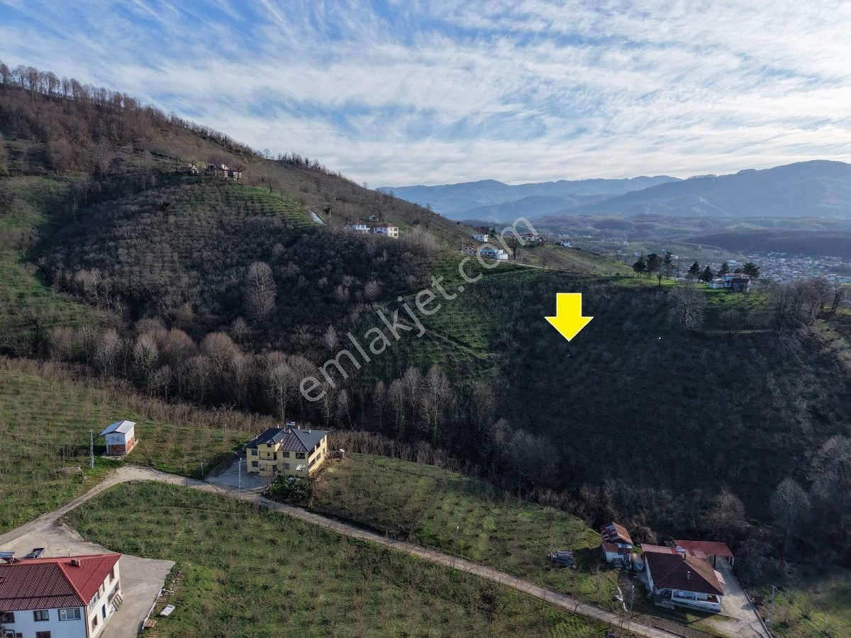 Sakarya Kuzuluk Orta Mahallede 9482 M2 Arazi - Görsel 10