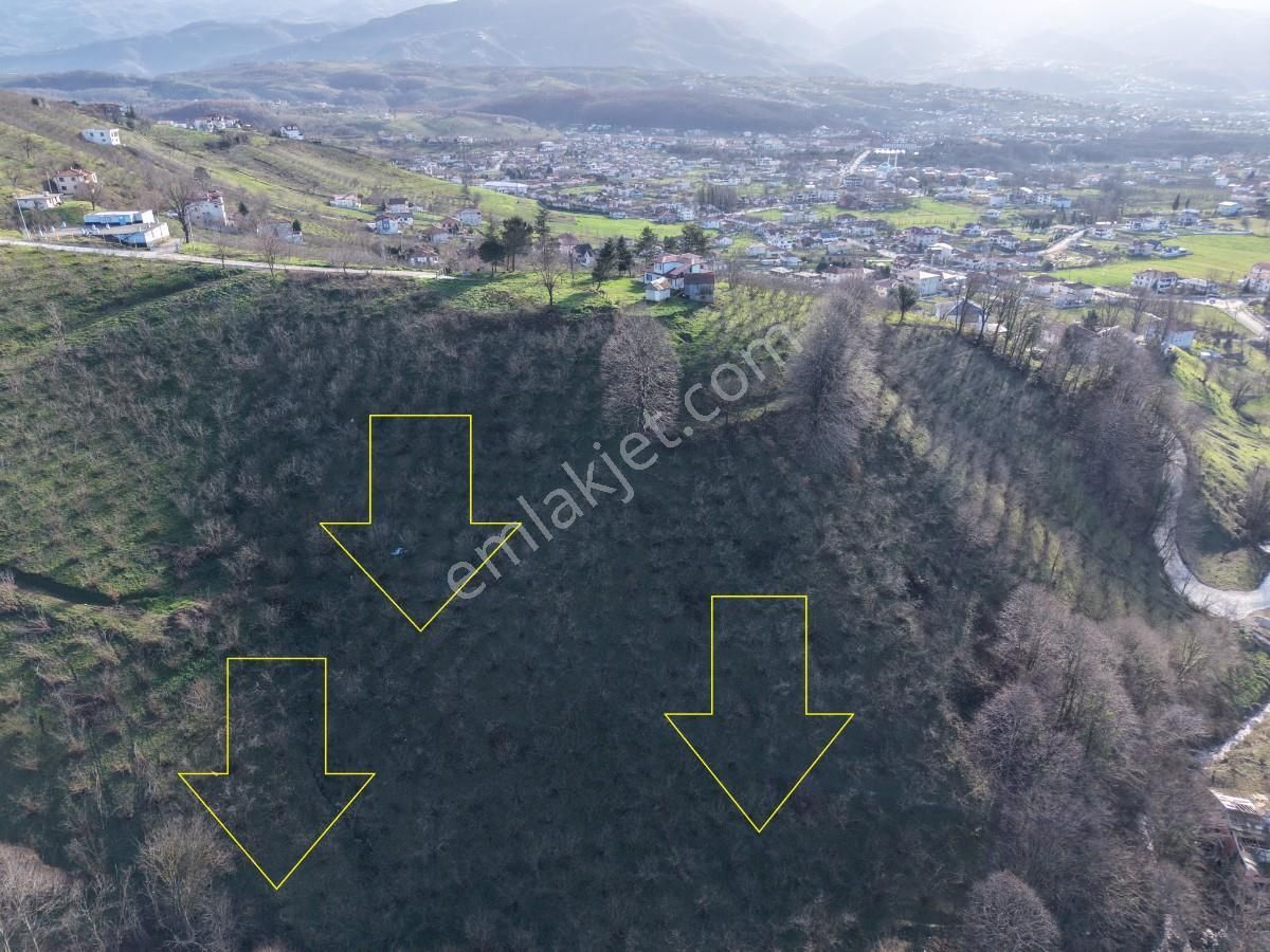 Sakarya Kuzuluk Orta Mahallede 9482 M2 Arazi - Görsel 28