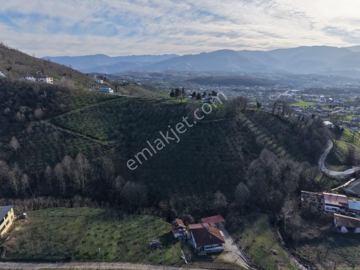 Sakarya Kuzuluk Orta Mahallede 9482 M2 Arazi - Görsel 26