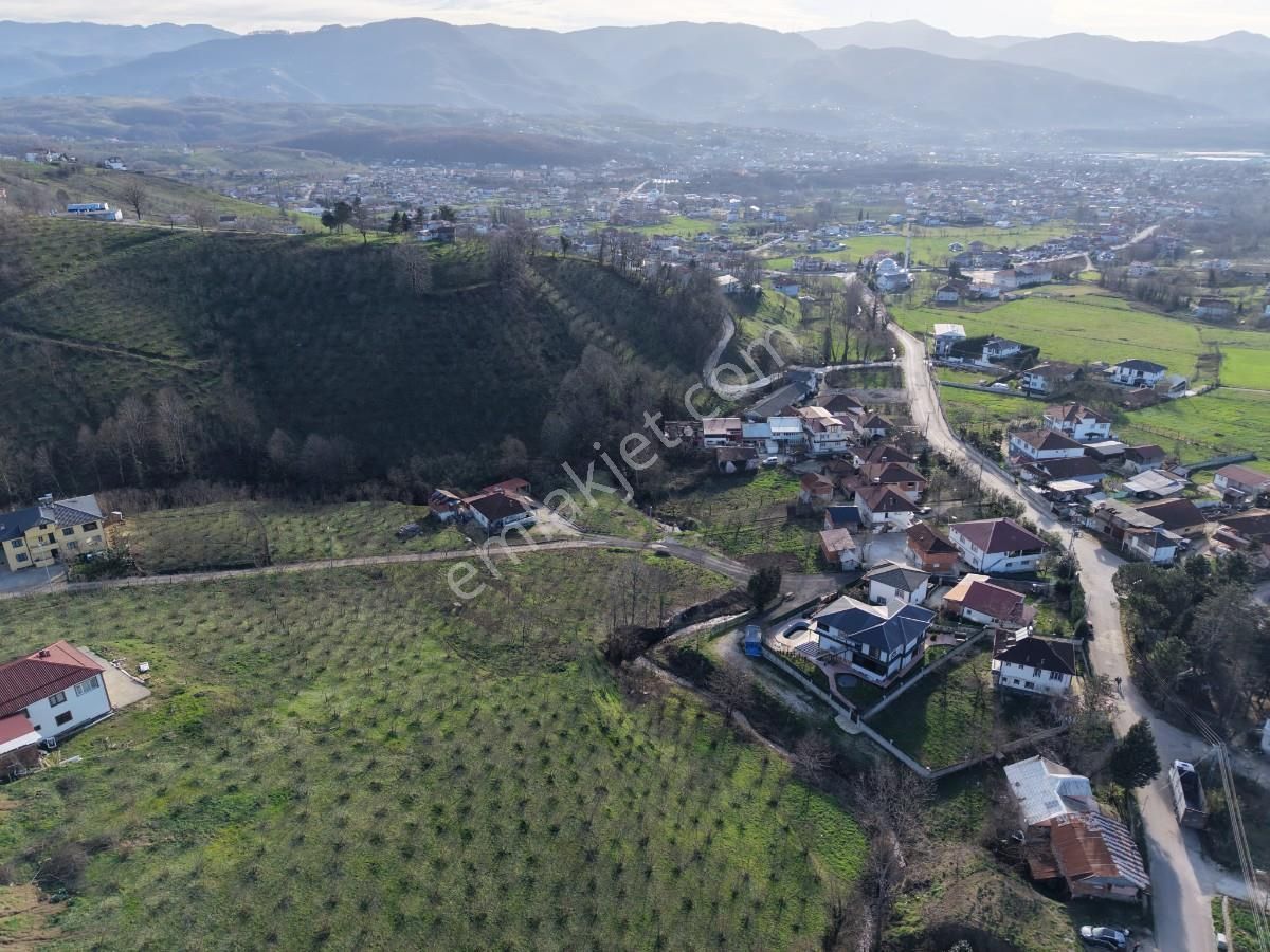 Sakarya Kuzuluk Orta Mahallede 9482 M2 Arazi - Görsel 23