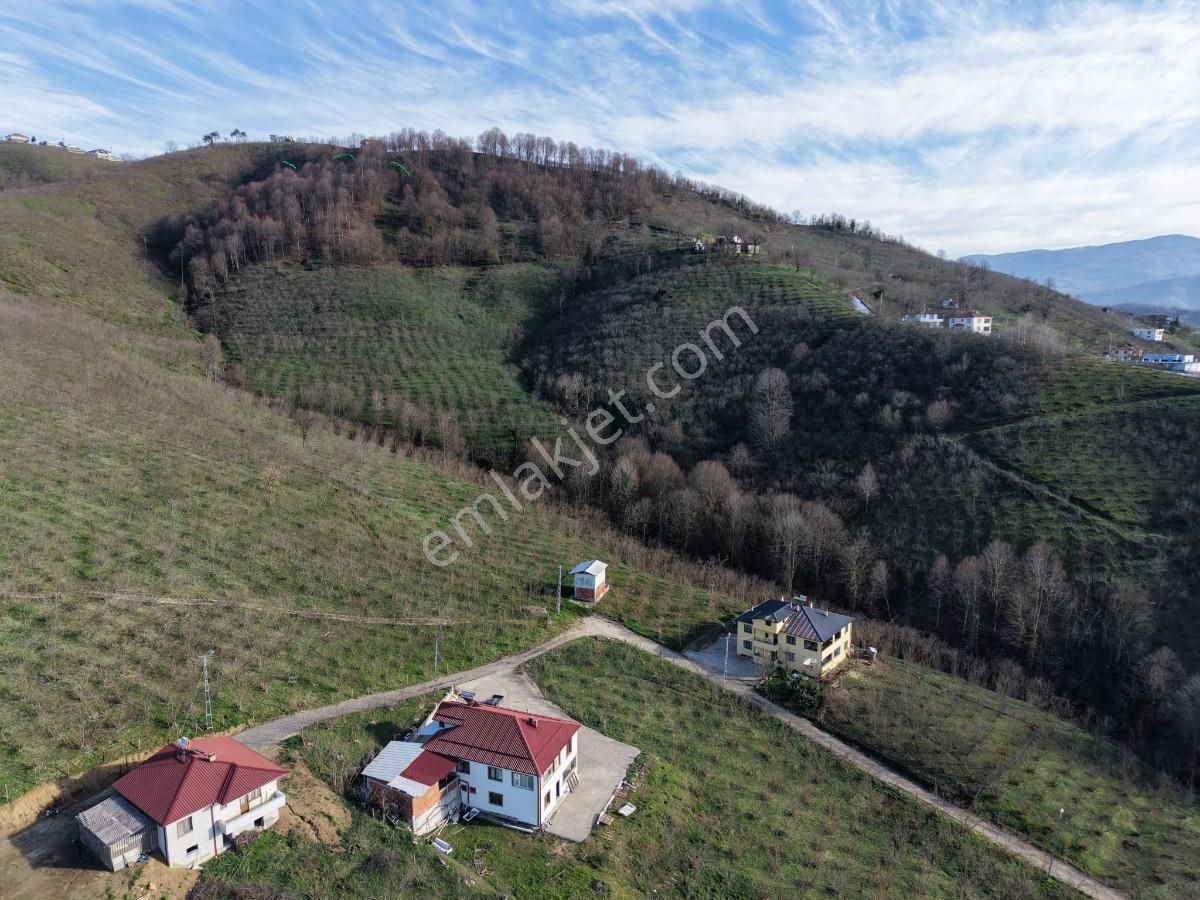 Sakarya Kuzuluk Orta Mahallede 9482 M2 Arazi - Görsel 13