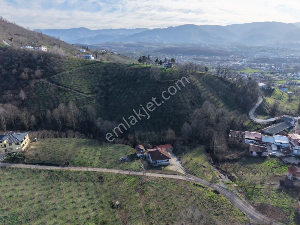 Sakarya Kuzuluk Orta Mahallede 9482 M2 Arazi - Görsel 18