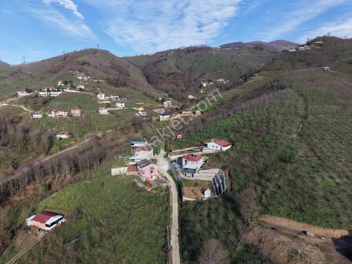Sakarya Kuzuluk Orta Mahallede 9482 M2 Arazi - Görsel 6