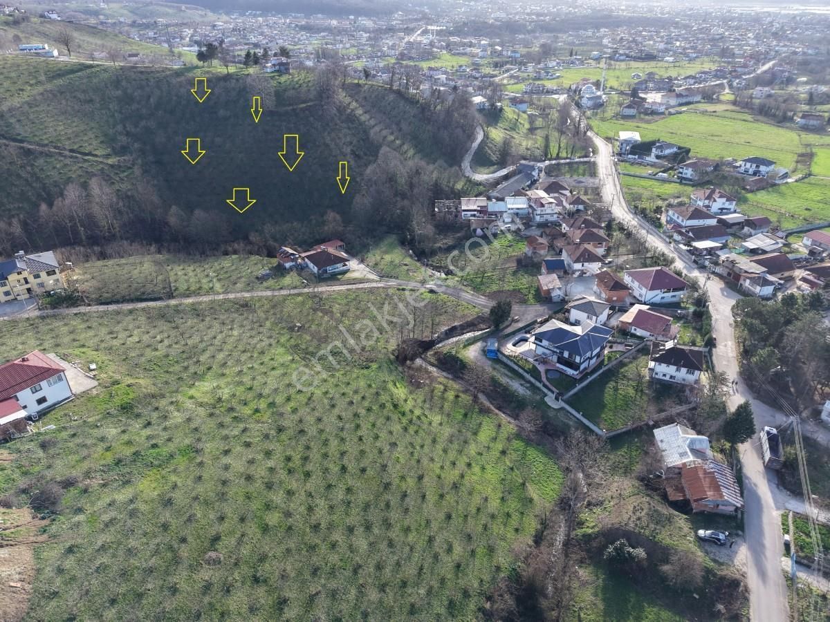 Sakarya Kuzuluk Orta Mahallede 9482 M2 Arazi - Görsel 11