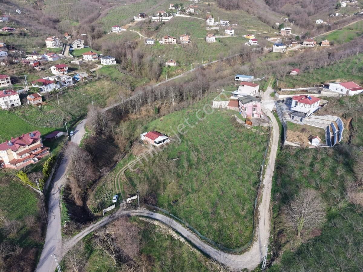 Sakarya Kuzuluk Orta Mahallede 9482 M2 Arazi - Görsel 15