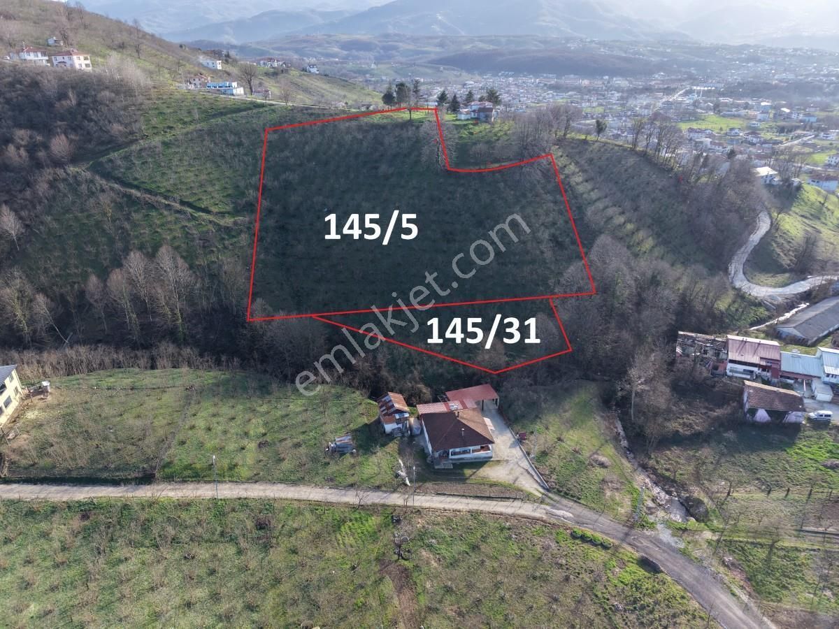 Sakarya Kuzuluk Orta Mahallede 9482 M2 Arazi