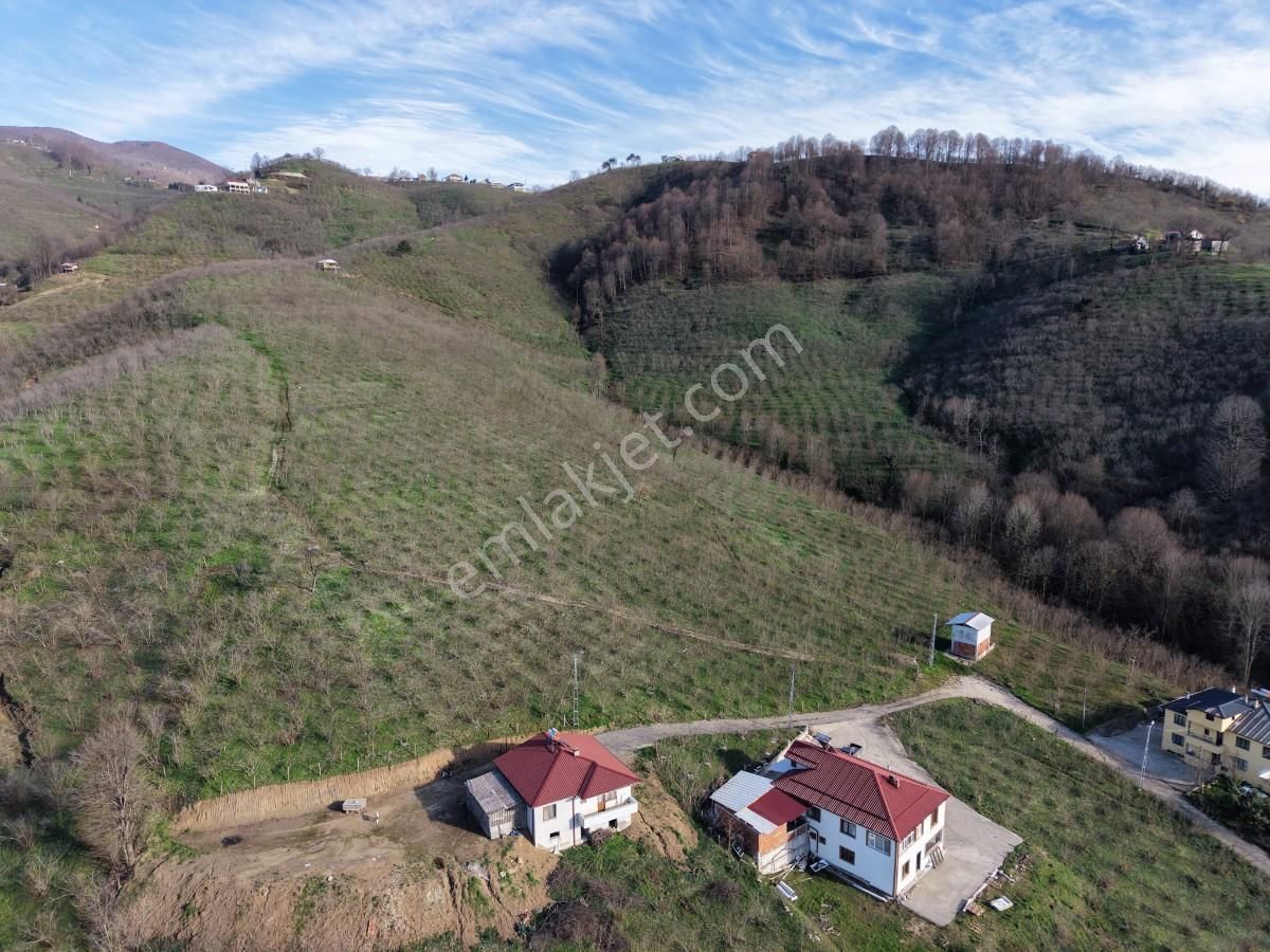 Sakarya Kuzuluk Orta Mahallede 9482 M2 Arazi - Görsel 22