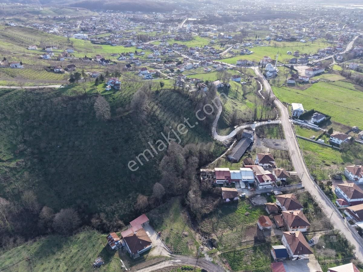Sakarya Kuzuluk Orta Mahallede 9482 M2 Arazi - Görsel 4