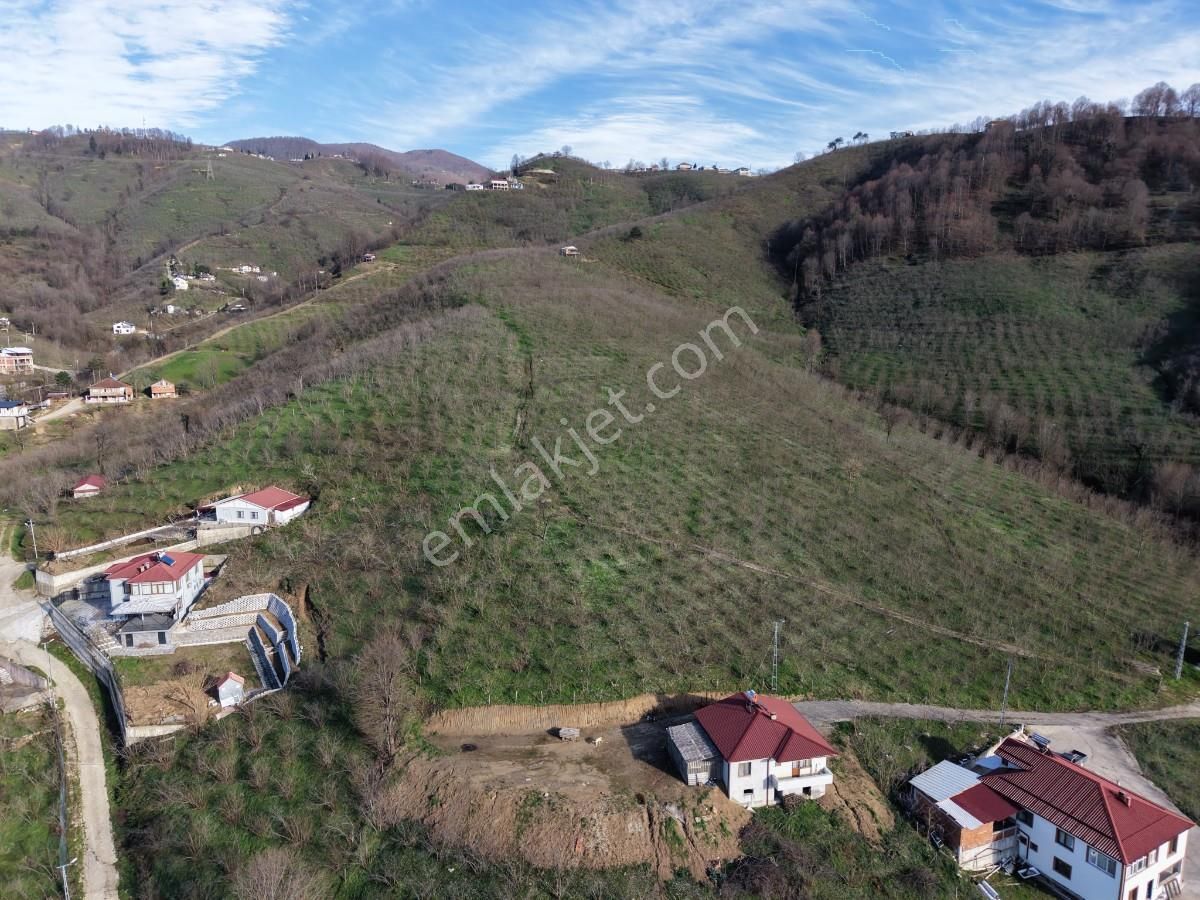 Sakarya Kuzuluk Orta Mahallede 9482 M2 Arazi - Görsel 16