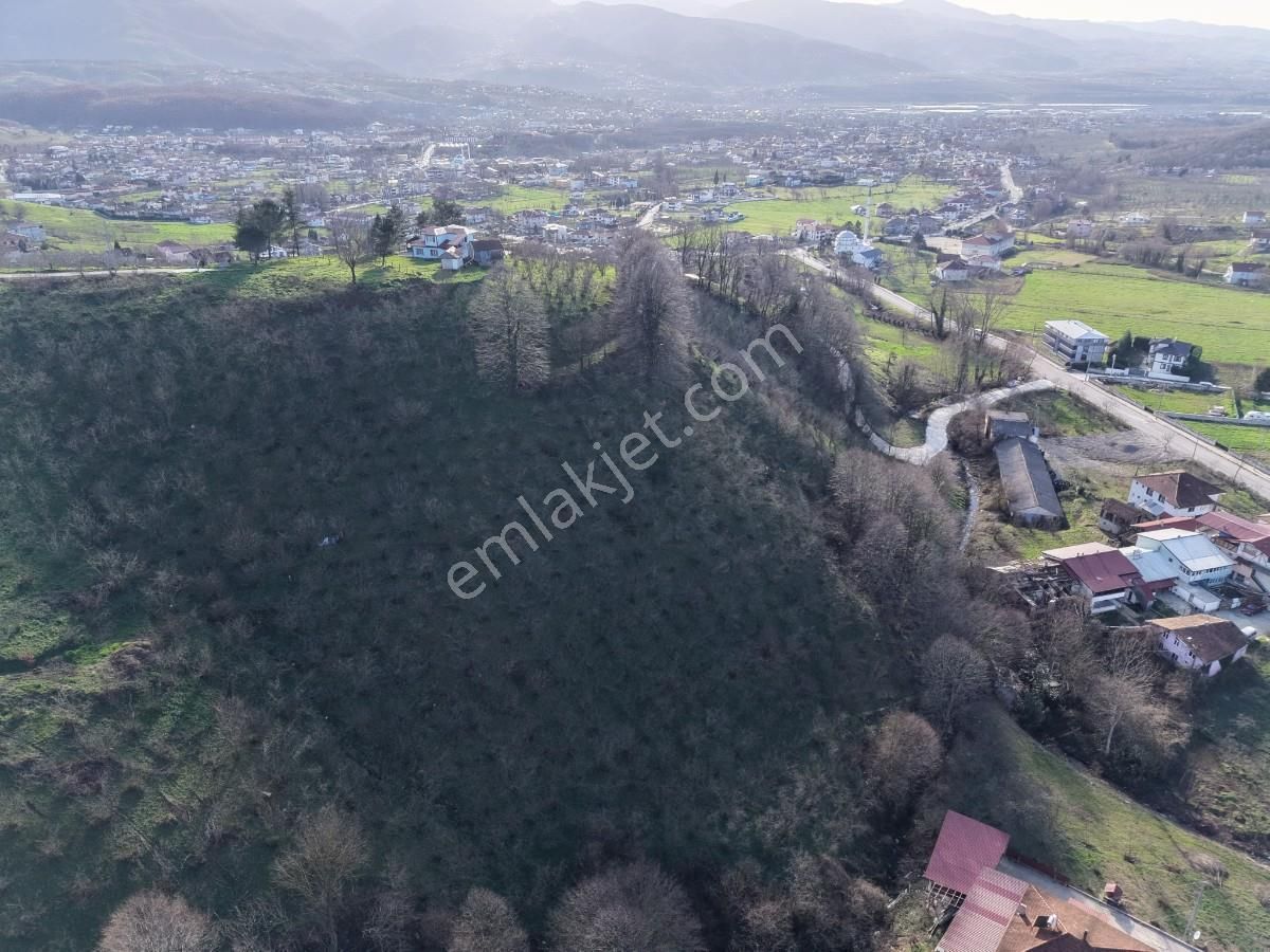 Sakarya Kuzuluk Orta Mahallede 9482 M2 Arazi - Görsel 5