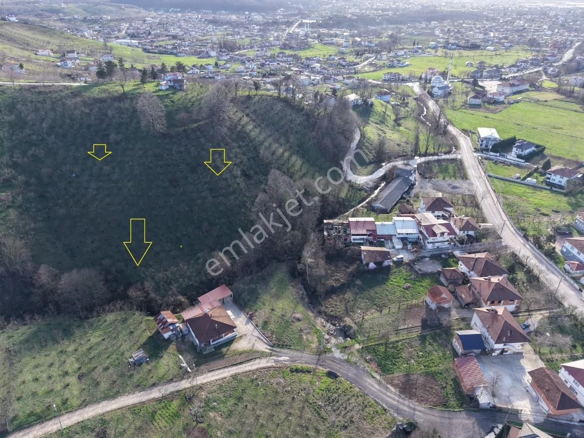 Sakarya Kuzuluk Orta Mahallede 9482 M2 Arazi - Görsel 20