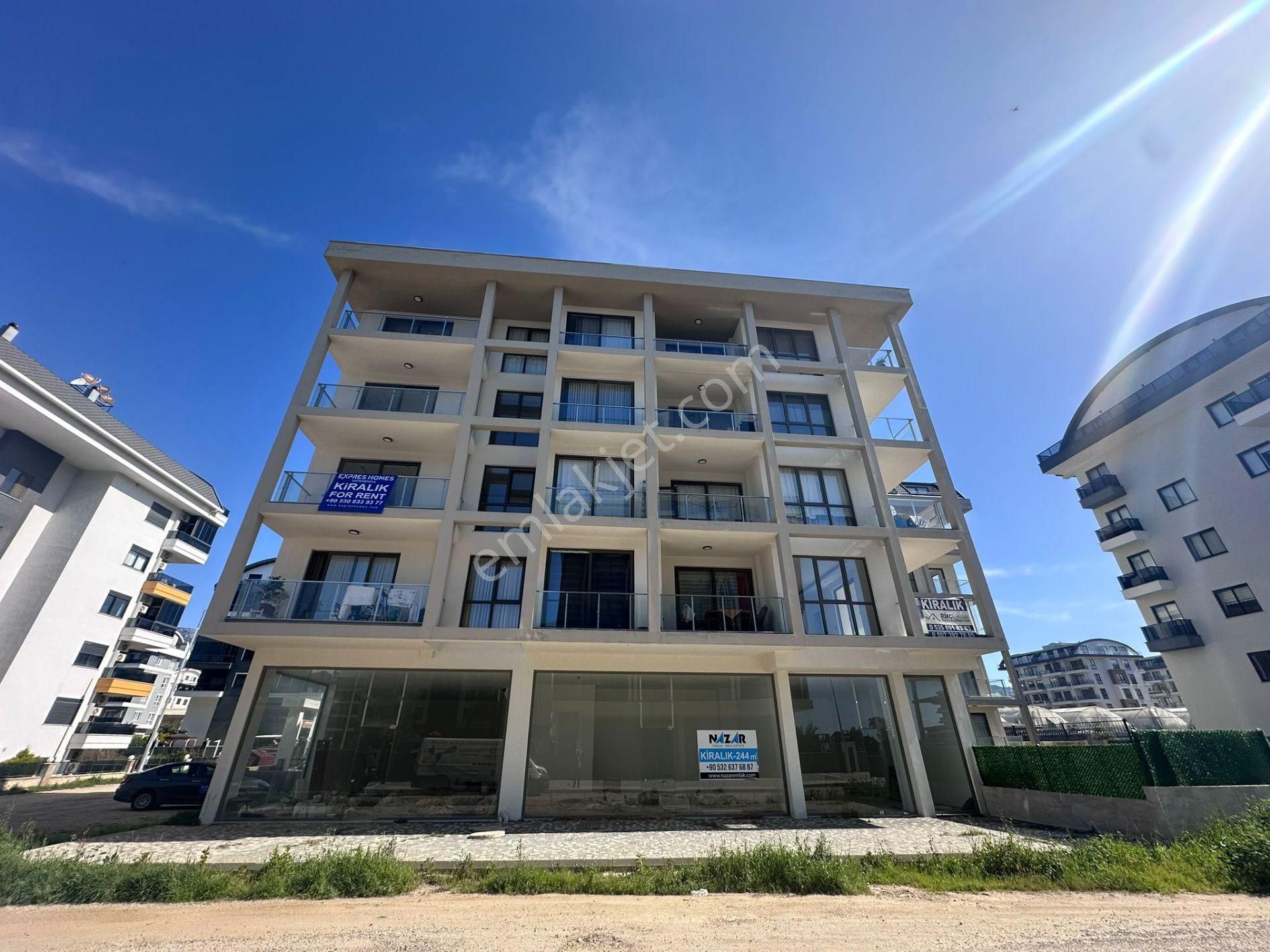 Alanya Kargıcak Kiralık 1+1 Daireler - Görsel 2