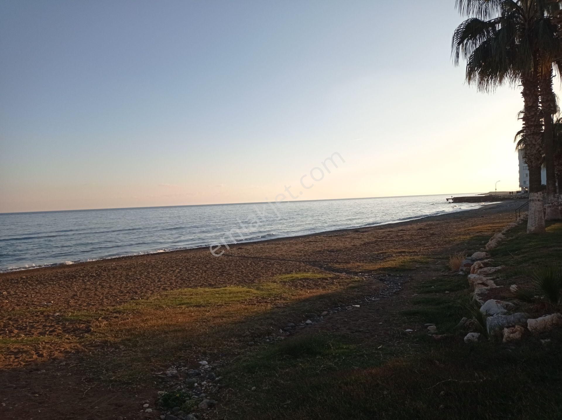 Deniz Kıyısında Havuzlu En İyi Daire 1+1 - Görsel 10