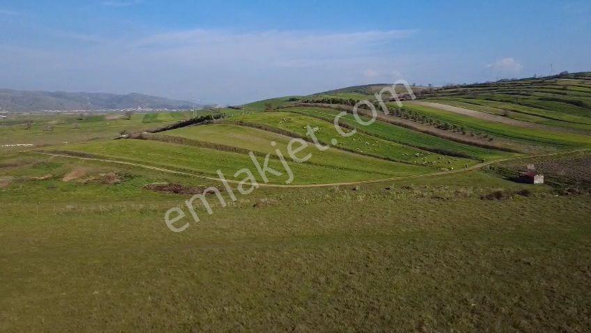 Öztarlacıdan Koşuboğazı Mera Yanı 7500 M2 Arazi - Görsel 13