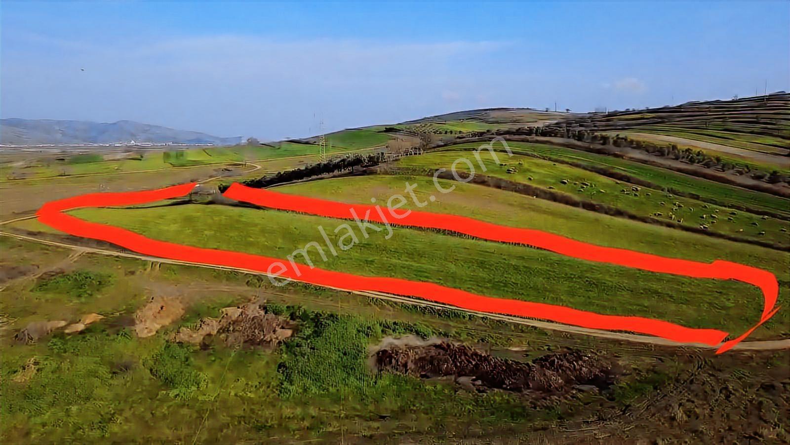 Öztarlacıdan Koşuboğazı Mera Yanı 7500 M2 Arazi