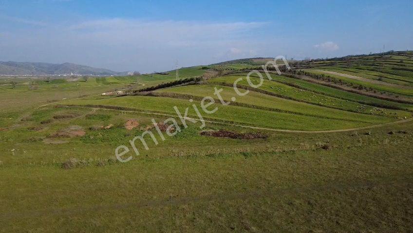 Öztarlacıdan Koşuboğazı Mera Yanı 7500 M2 Arazi - Görsel 8