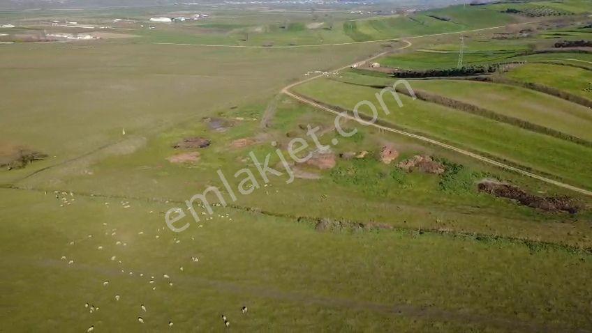 Öztarlacıdan Koşuboğazı Mera Yanı 7500 M2 Arazi - Görsel 24
