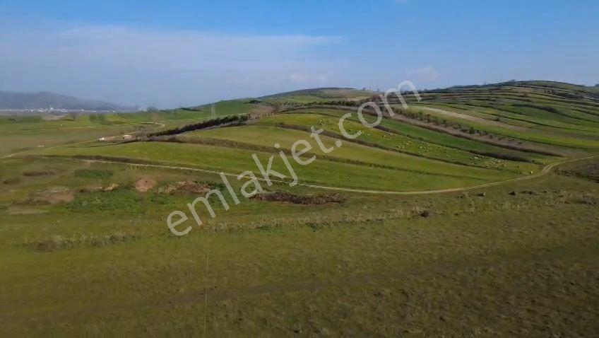 Öztarlacıdan Koşuboğazı Mera Yanı 7500 M2 Arazi - Görsel 31