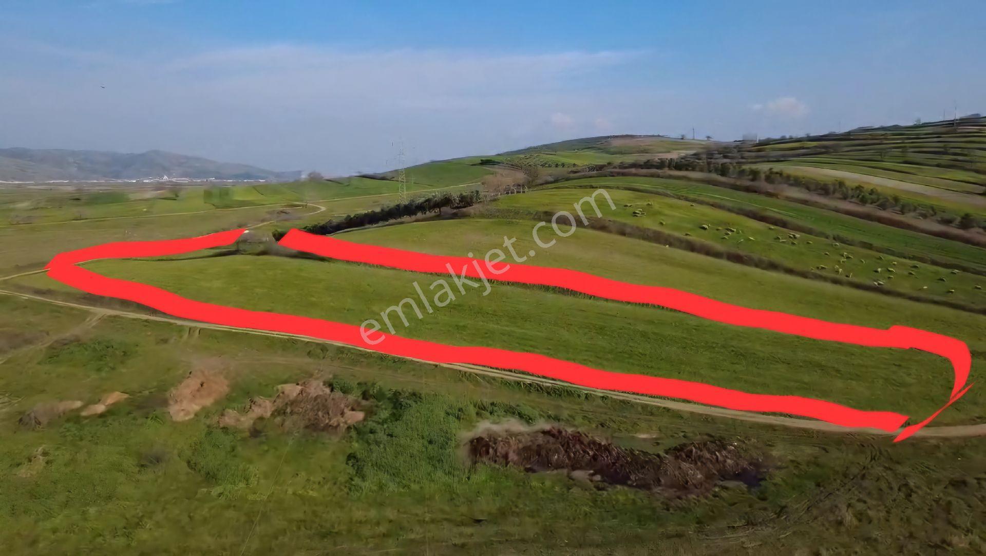 Öztarlacıdan Koşuboğazı Mera Yanı 7500 M2 Arazi - Görsel 36