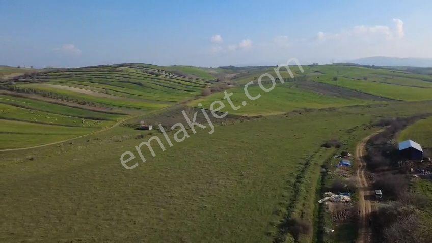 Öztarlacıdan Koşuboğazı Mera Yanı 7500 M2 Arazi - Görsel 33