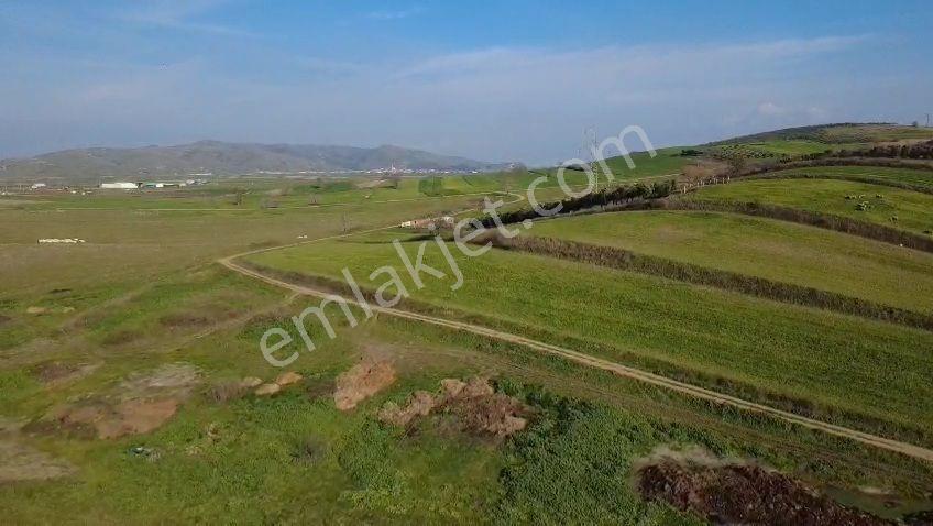Öztarlacıdan Koşuboğazı Mera Yanı 7500 M2 Arazi - Görsel 23