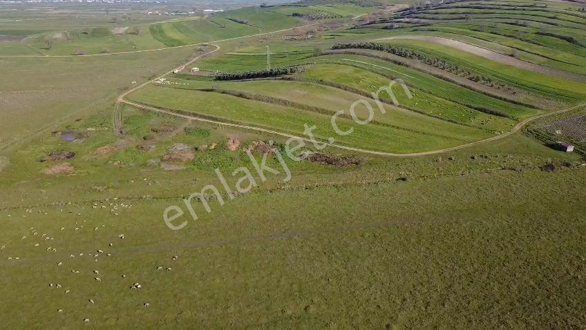 Öztarlacıdan Koşuboğazı Mera Yanı 7500 M2 Arazi - Görsel 10