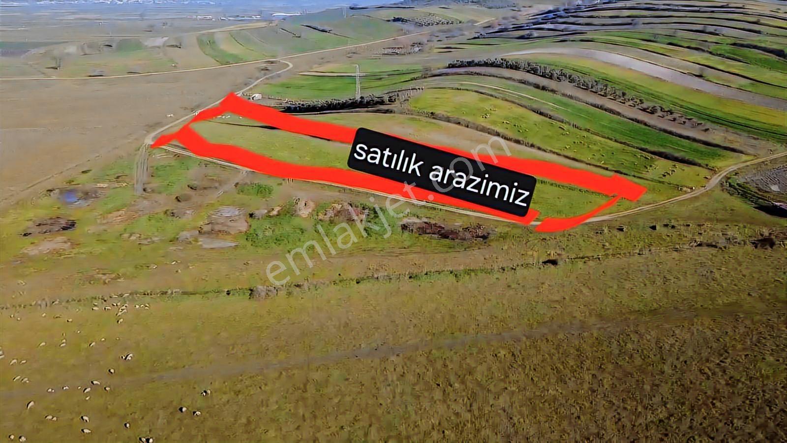 Öztarlacıdan Koşuboğazı Mera Yanı 7500 M2 Arazi - Görsel 9