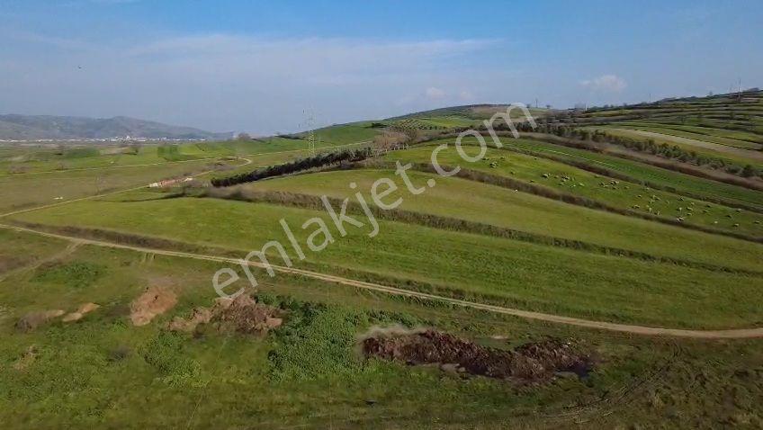 Öztarlacıdan Koşuboğazı Mera Yanı 7500 M2 Arazi - Görsel 7