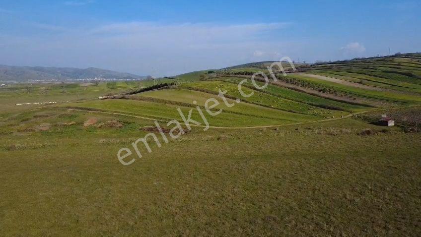 Öztarlacıdan Koşuboğazı Mera Yanı 7500 M2 Arazi - Görsel 4