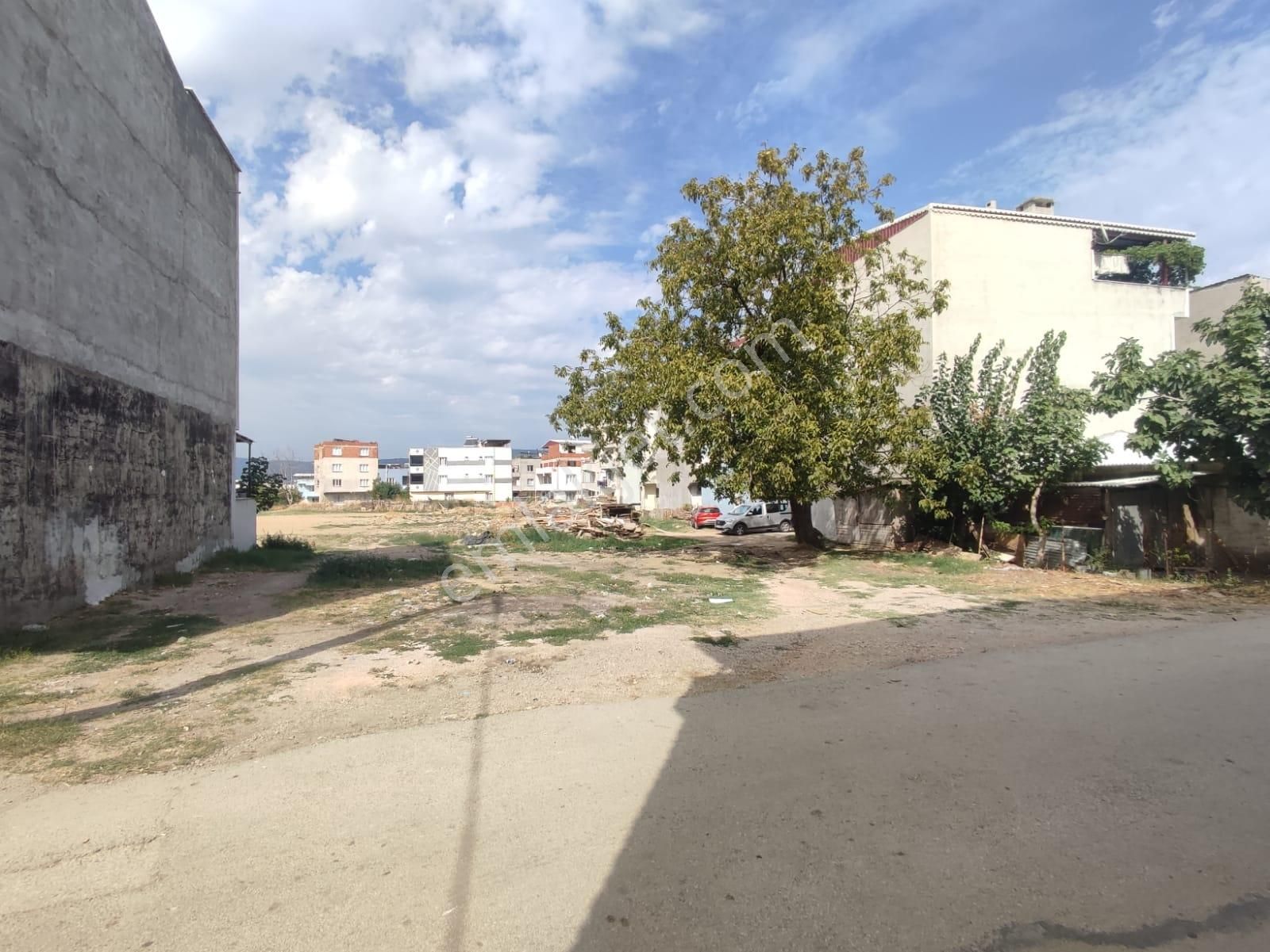 Remax Leon Gürsu Yenidoğan Mh. Satılık 288 M2 Arsa - Görsel 7
