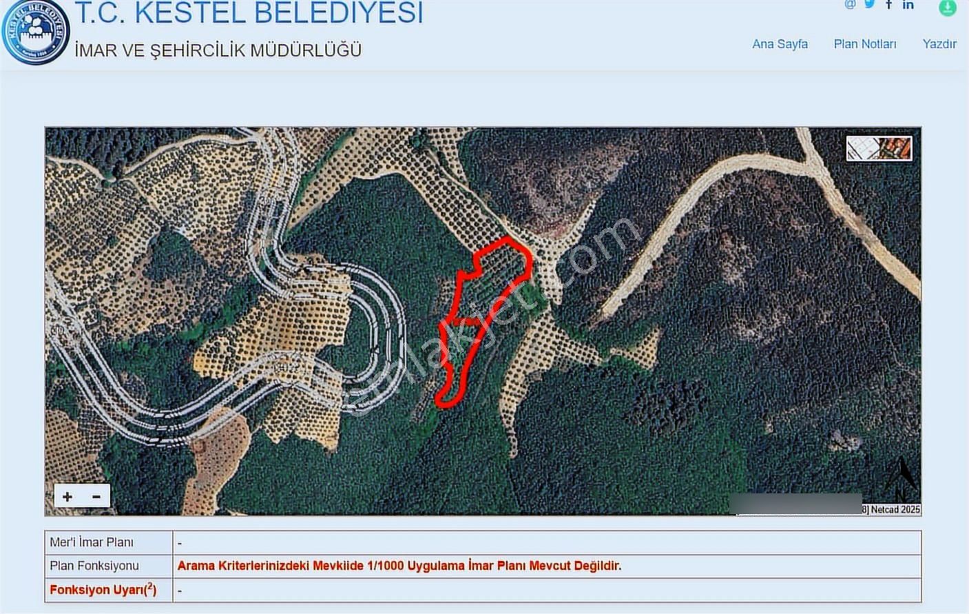 Remax Leon Kestel Çataltepe 'de Sanayiye Yakın Satılık Zeytinlik - Görsel 14